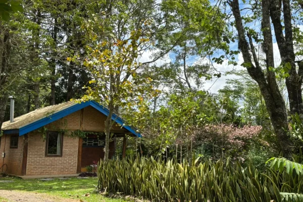 exterior_7